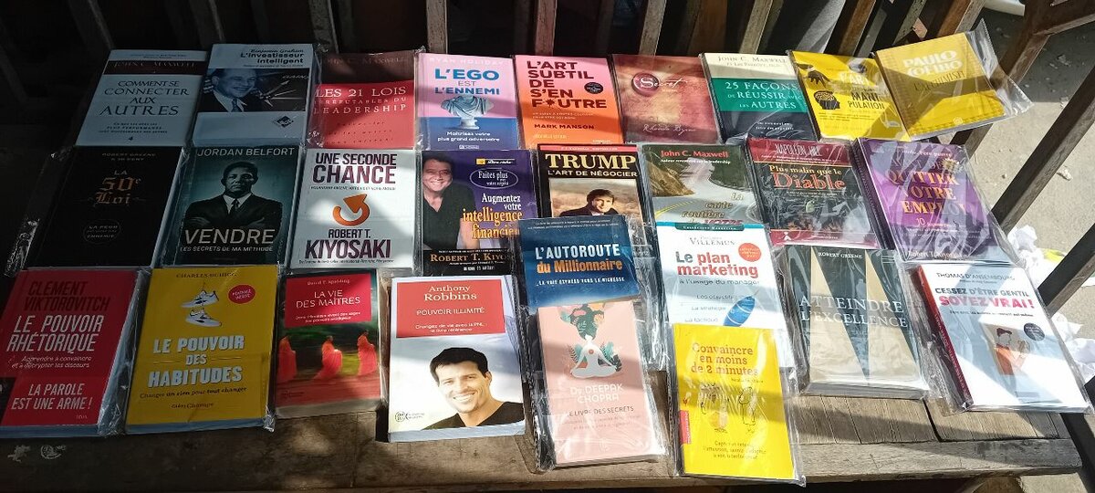Collection Livres Motivation et Réussite