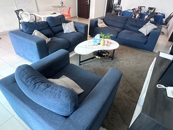 Plush Blue Sofa Set