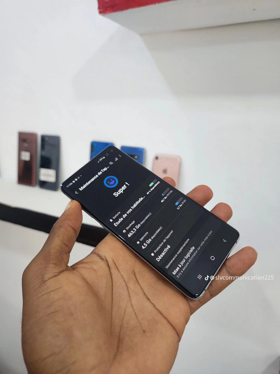 Samsung Galaxy S10 Plus casi