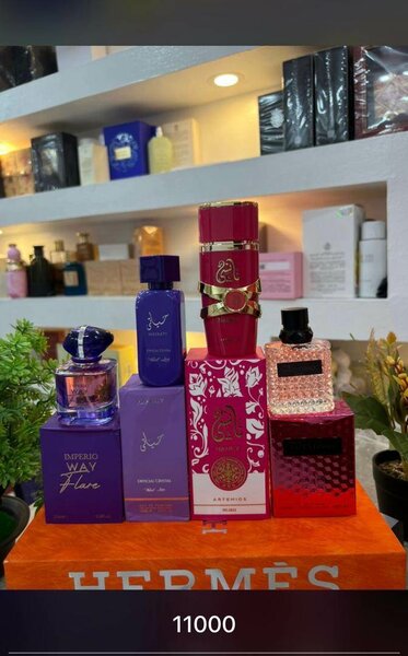 Ensemble de Parfums Premium