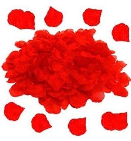 Pétales de rose rouges décoratives