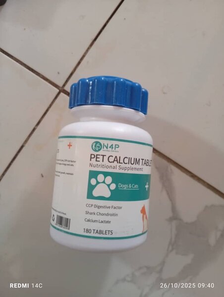 Supplément Calcium Animaux