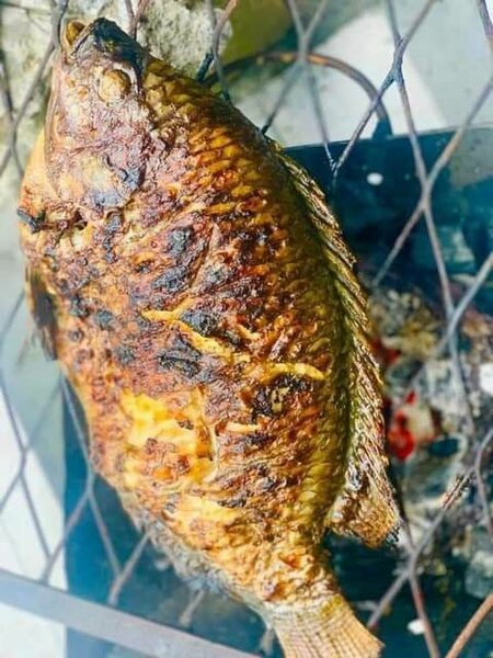 Poisson Braisé+Attieke