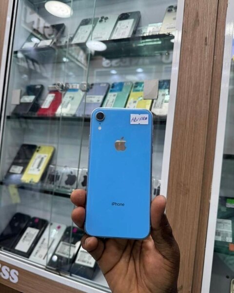 iPhone XR Bleu Reconditionné