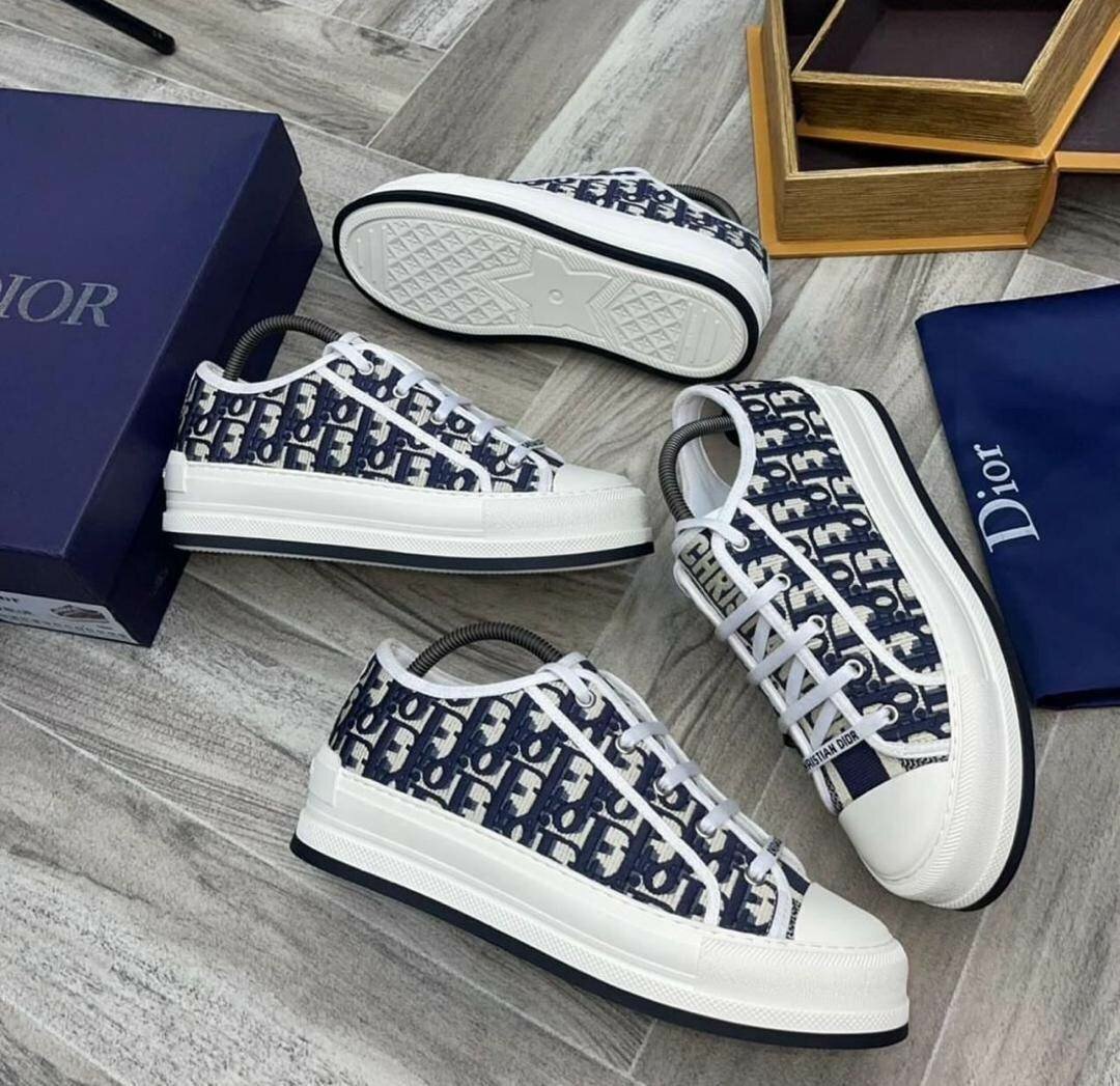 Christian Dior Classic Shoes