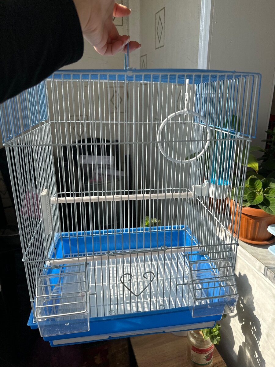 Для маникюра за 1500