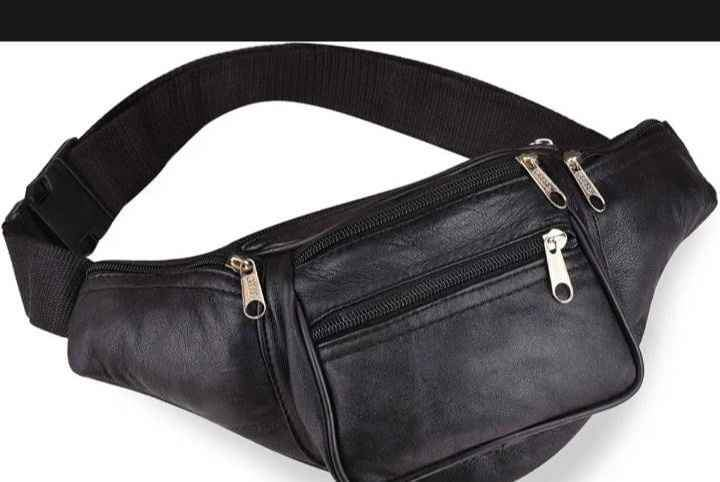 Multipurpose waist travel bag