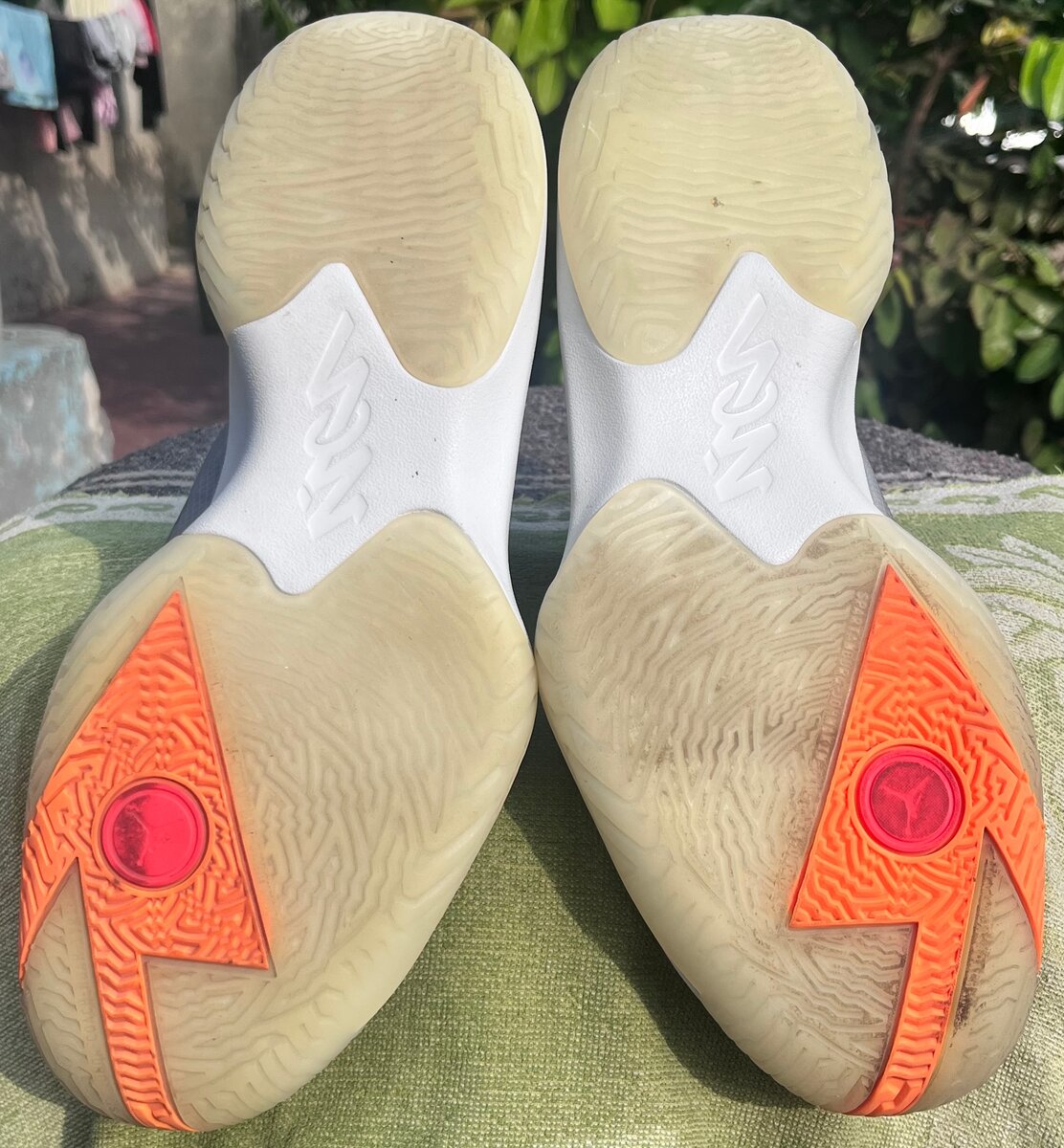 Jordan Zion 1 PF Light Smoke