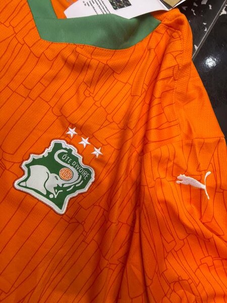 Maillot Côte d'Ivoire Puma