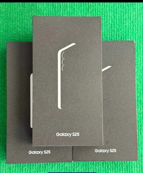 Samsung Galaxy S25 Bleu