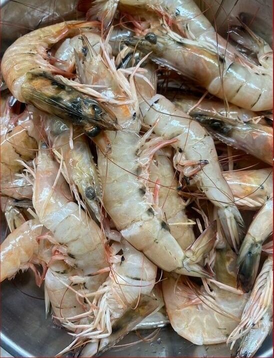 poissons frais et congelés