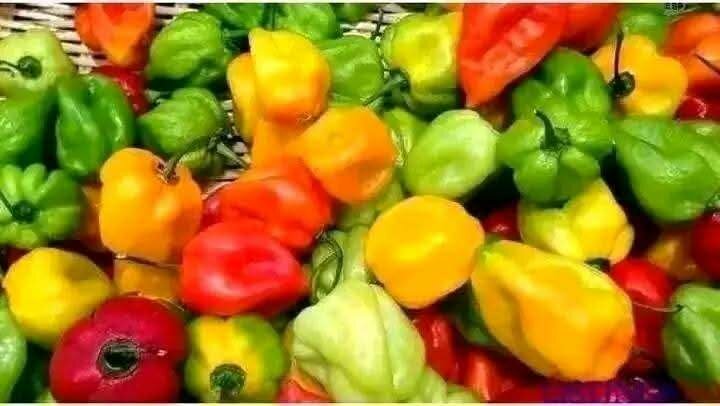 Kit Kédjénou Poulet Frais