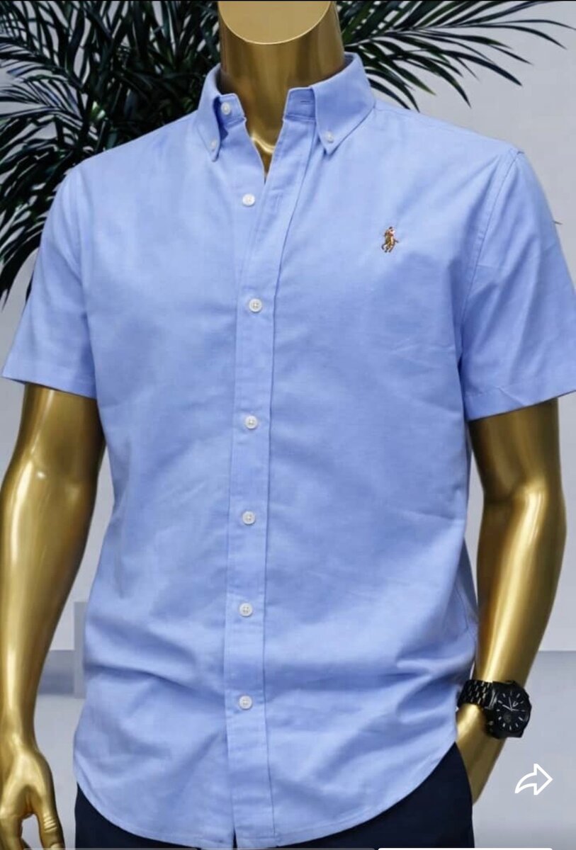 Chemise Homme Élégante
