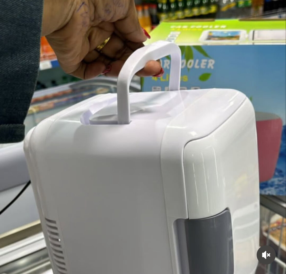 Mini Réfrigérateur Portable 10L