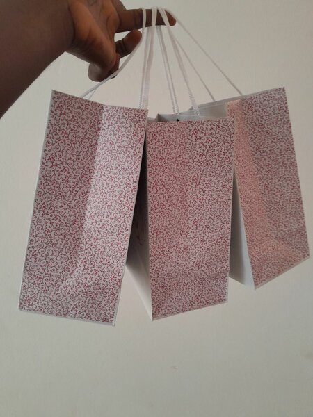 Souvenir Paper Bags