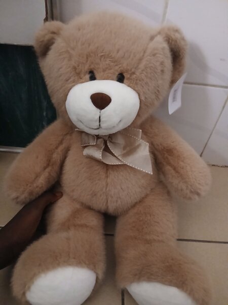 Ours en peluche doux