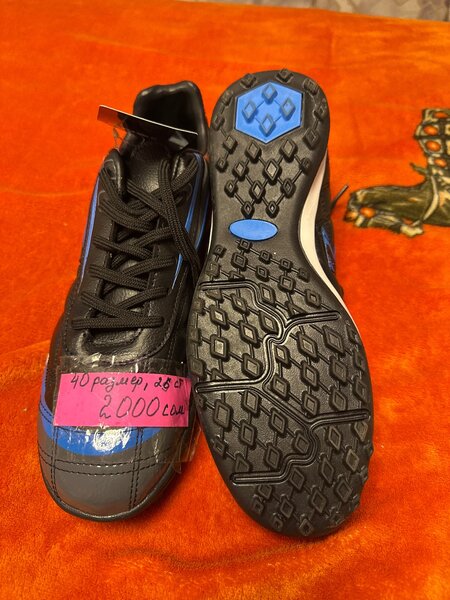 Сороконожки