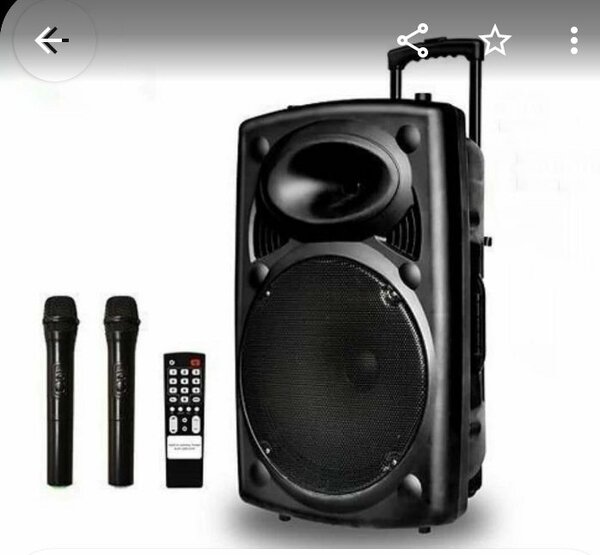 Haut parleur bluetooth portable sans fil pour karaoké audio