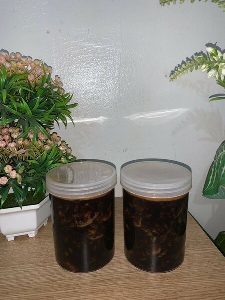 Pickles maison en pot