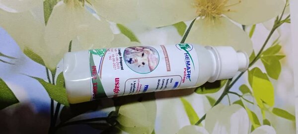 Produit Hygiénique pour Chats