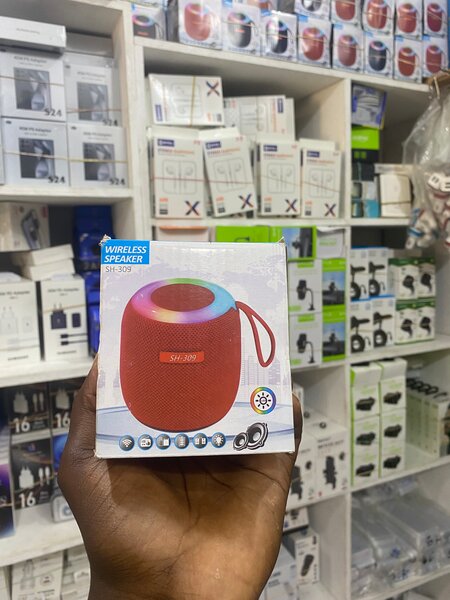 Enceinte Bluetooth sans fil SG-303