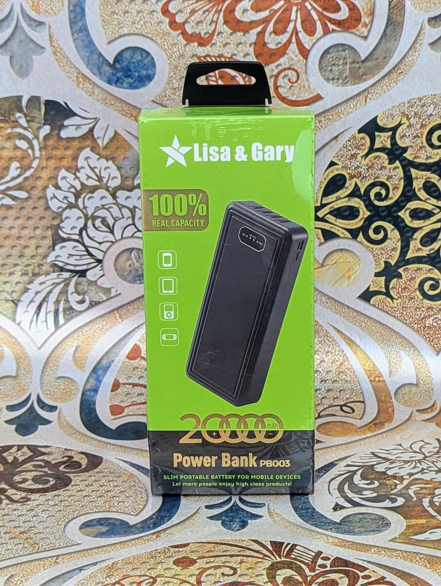 Lisa and Gary power bank charges 20000mAh