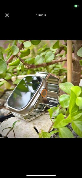 Montre Connectée Acier Inox