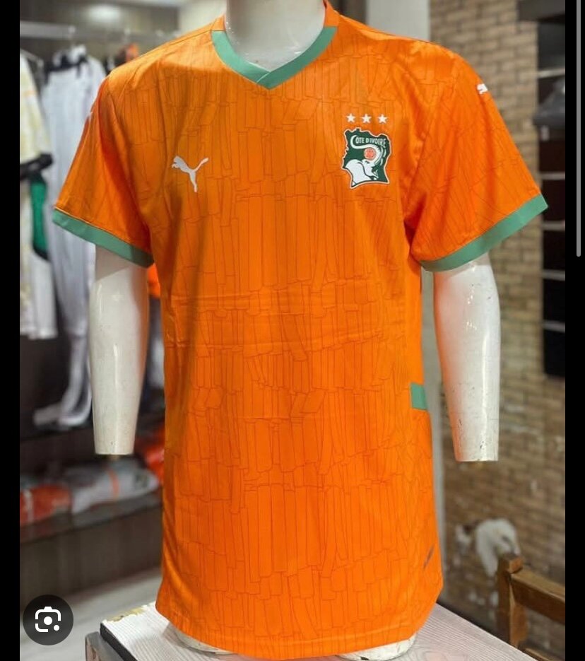 Maillot Côte d'Ivoire Puma