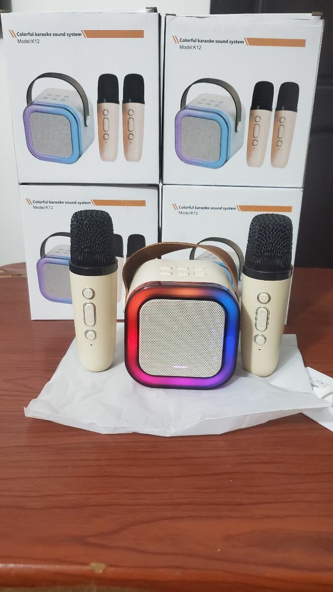 Enceinte bluetooth Karaoké