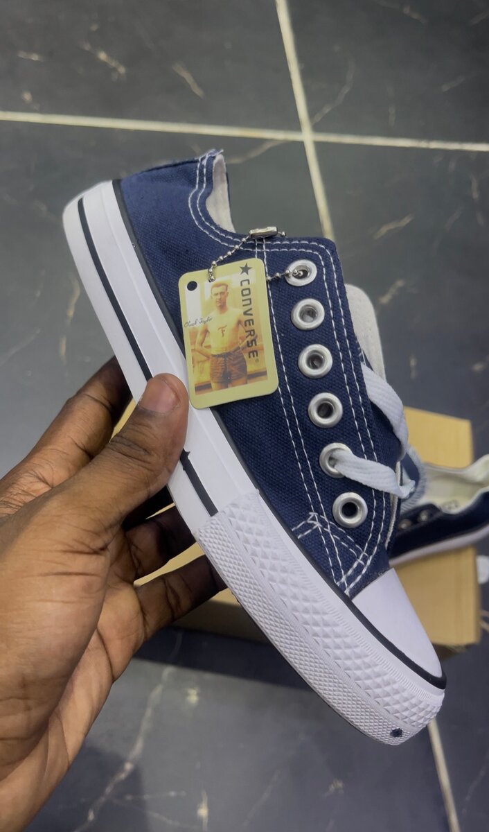 Baskets Montantes en Toile