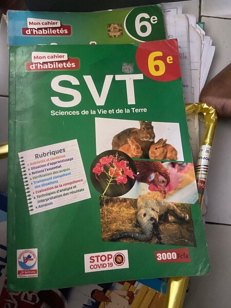 Lot de manuels scolaires