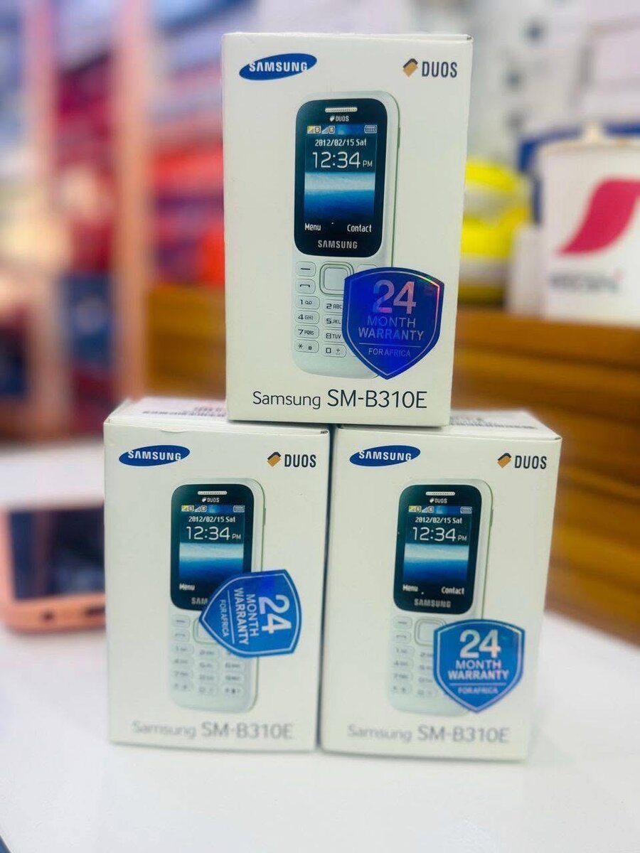 SAMSUNG B31(dans carton