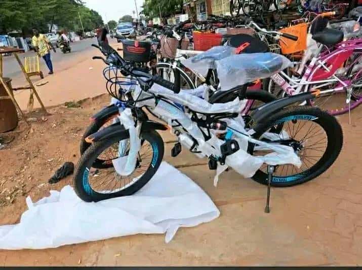 Vélo Électrique Tout-Terrain