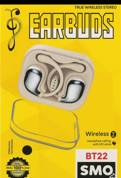 Écouteurs Sans Fil BT22