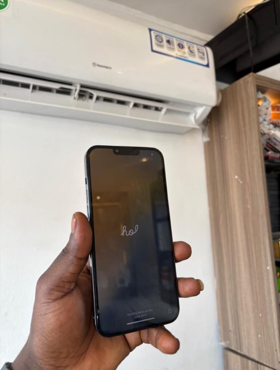 iPhone 13pro max 256gig