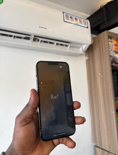 iPhone 13pro max 256gig