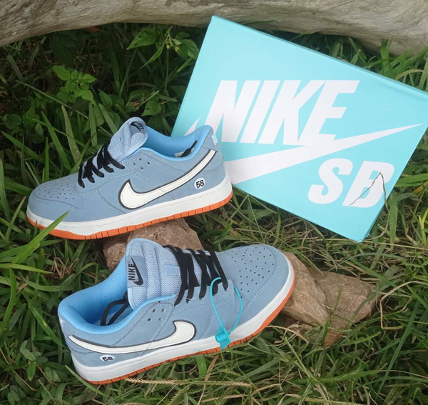 Chaussure NIKE SB DUNK bleu