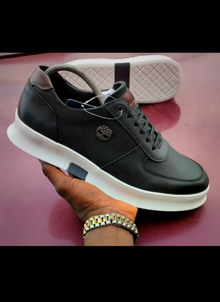 Chaussure Timberland