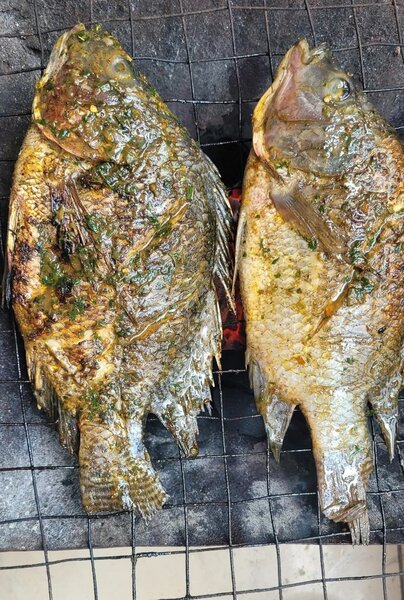 Poisson braisé Savoureux