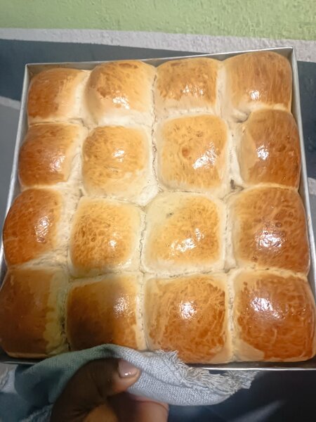 Yaourt Maison Rafraîchissant