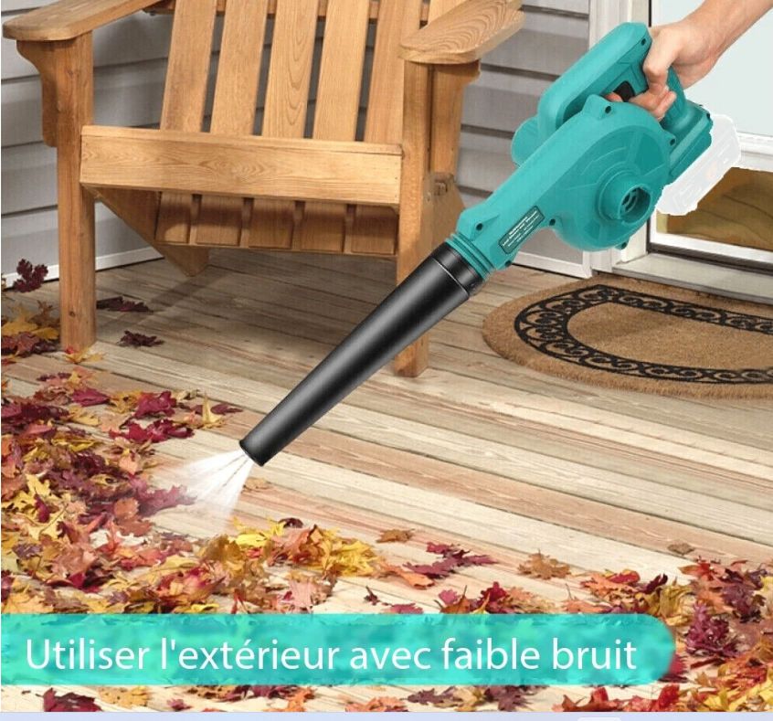 Souffleur électrique portable 18V