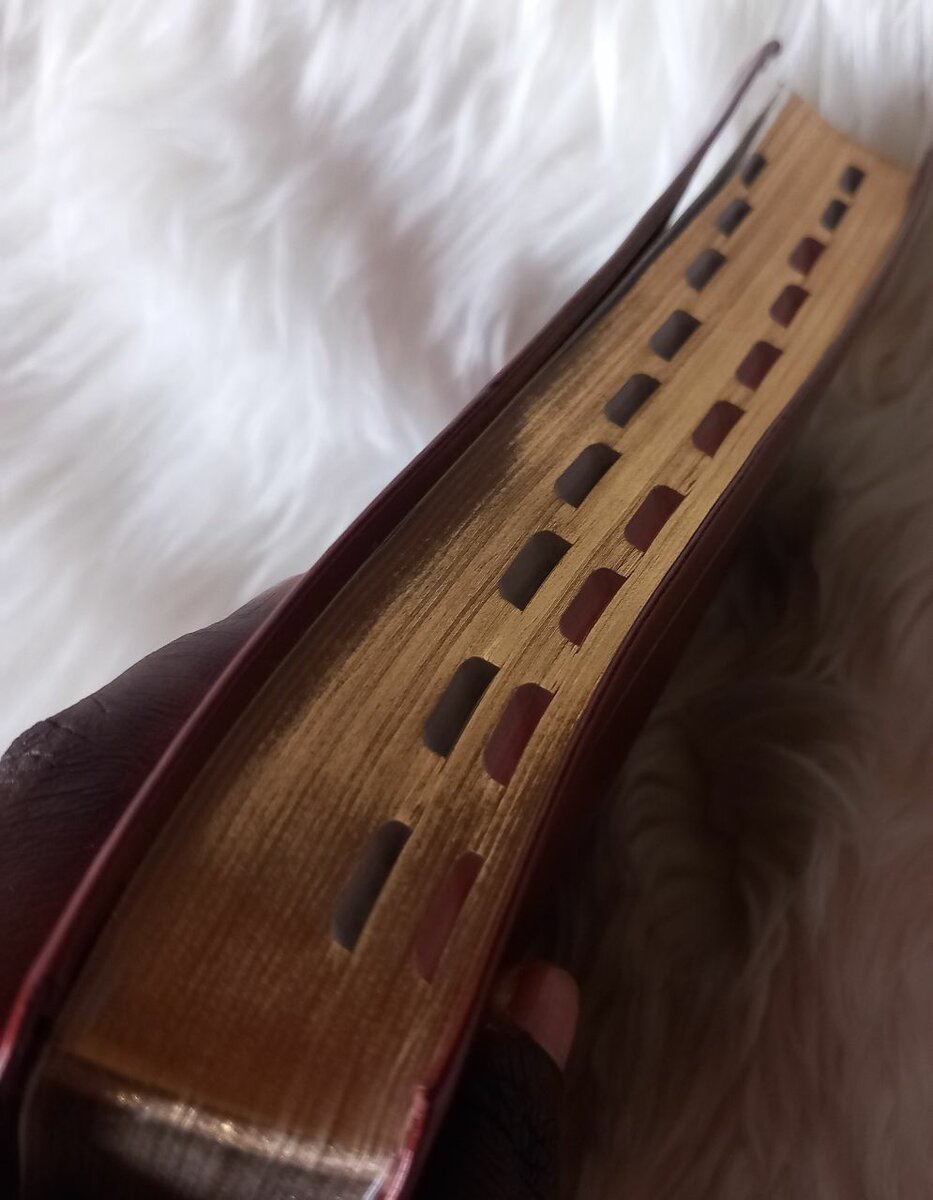 KJV HOLY BIBLE ( REFERENCE)