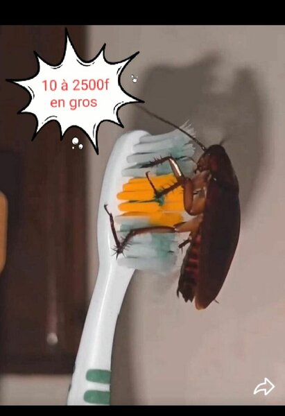 Protège-brosse à dents coloré