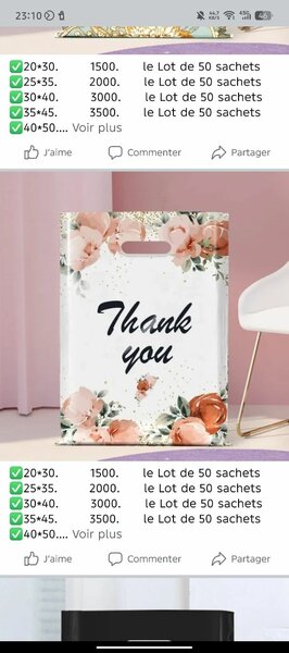 Sacs plastiques par lot de 50