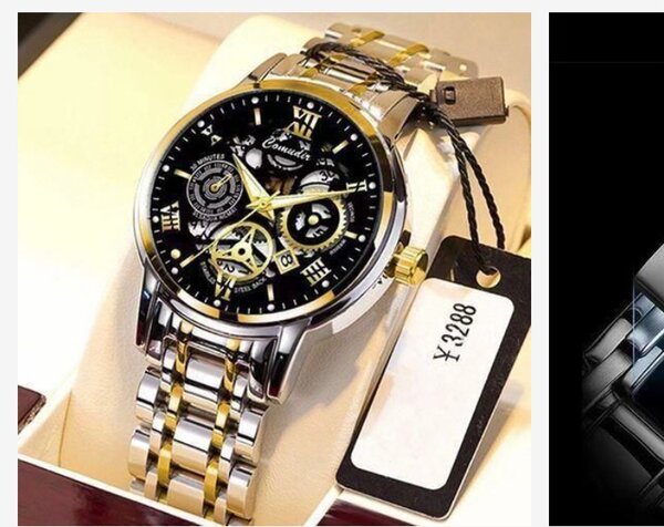 Montre Squelette Luxe Homme