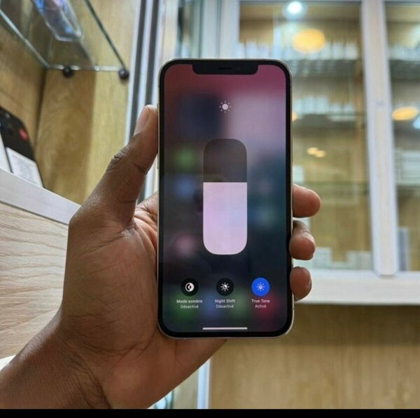 iPhone 11 Pro Max 64Go Gris