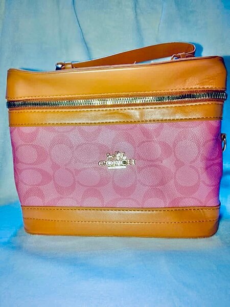 Sac à main Coach élégant