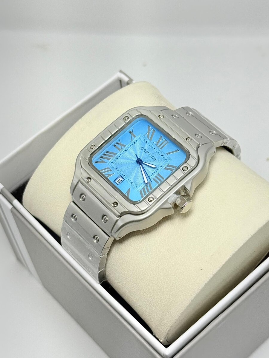 Montre de luxe en acier inoxydable