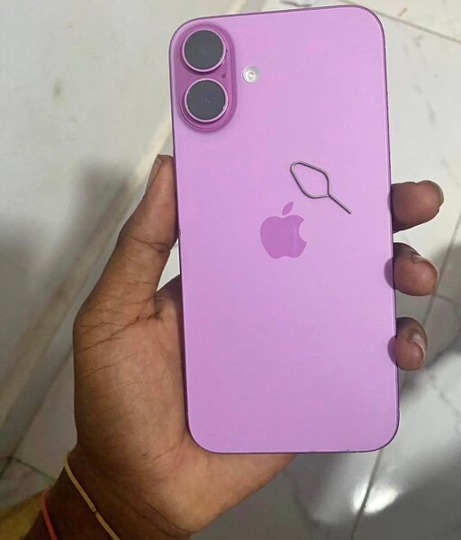 iPhone 16 Violet