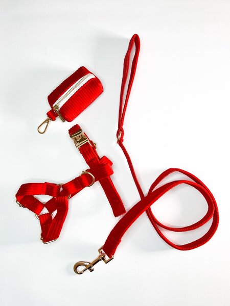 Harness Walk Set for dogs  (Bright Red)